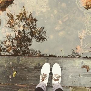 Meet your Posher, Shelly